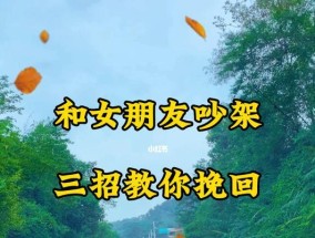 如何挽回男友的心——以吵架为主题（争吵后的情感危机）