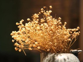 如何凭直觉一眼锁定真命天子（掌握五个技巧）