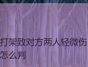 被人打了轻微伤派出所怎么处理？具体流程和注意事项是什么？