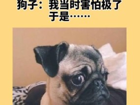 如何应对情人不联系的孤独感？