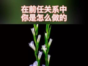 坚决分手男人VS女人，谁更能代表真正的坚定（以累了为由坚决分手）