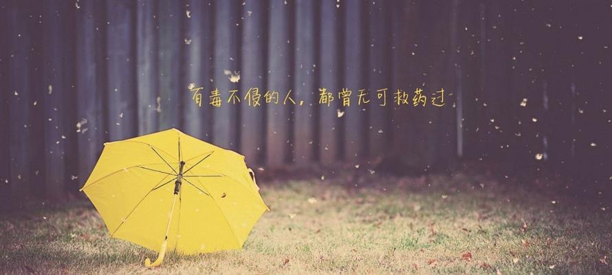 寻找告白的秘密——深情告白的艺术（探究告白的技巧，用心传递爱的感觉）  第2张