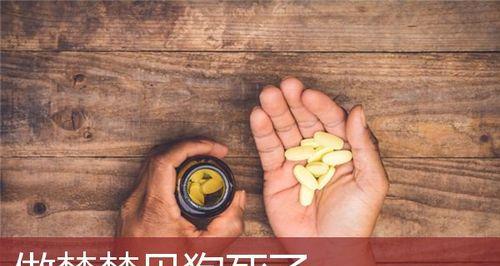 梦见东西失而复得的深刻寓意（寓意丰富的梦境，是人生的重要启示）  第2张