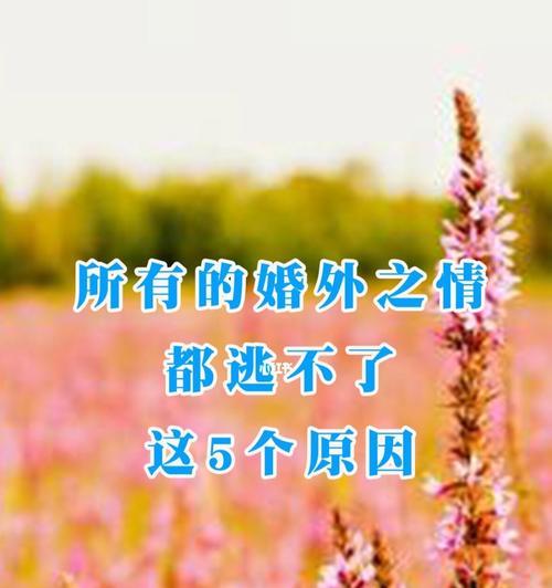 婚姻中的情感需求探析（探究婚姻中情感需求的重要性以及关键因素）  第3张