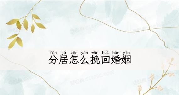 分居后如何挽回婚姻（重拾爱情的秘诀）  第3张