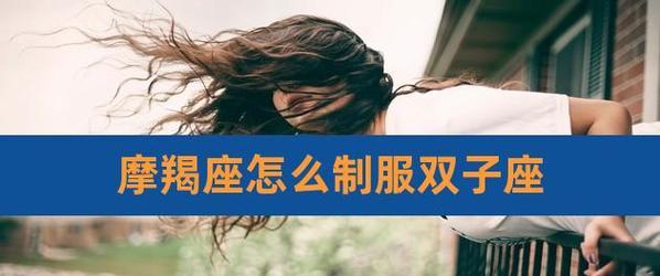 如何搞定双子男（掌握这3个技巧）  第1张
