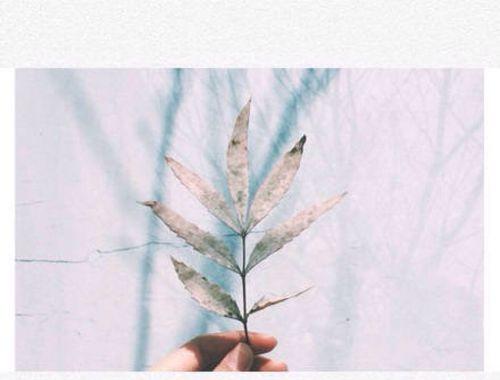 爱情的味道，男人如何用情话挽回女人（男人必读）  第3张