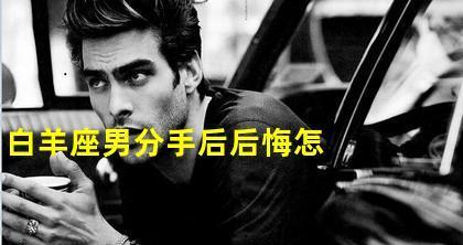 白羊男如何挽回失去的感情（分手了怎么办）  第2张