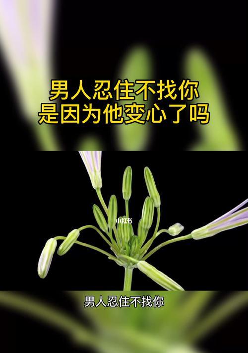 男人变心的警示信号（15个表现）  第1张
