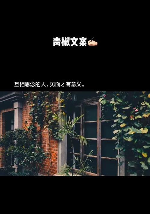 抖音挽回感情，情感复苏的秘密（探究抖音在挽回感情中的威力和有效方法）  第1张