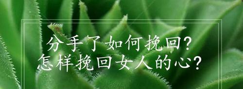 分手了，如何挽回老公（分手原因分析）  第1张