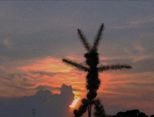 偶遇前任，挽回爱情的正确方式（以诚挽爱）  第1张
