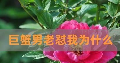 揭秘巨蟹男的“挽回无望”征兆（如何识别巨蟹男情感彻底崩溃的迹象）  第1张