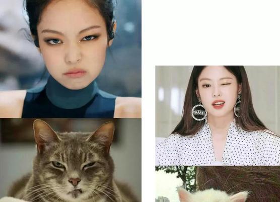 猫系人VS犬系人（以超有趣的测试揭示你的真实性格特点）  第2张