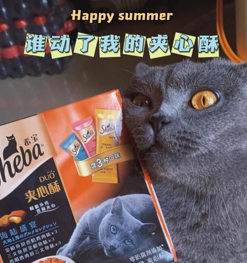 炒鸡测试（探究爱与喜欢的区别）  第2张