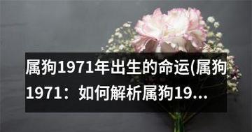 如何让属狗女婚姻幸福美满（掌握关键技巧）  第1张