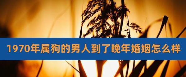 如何让属狗女婚姻幸福美满（掌握关键技巧）  第3张