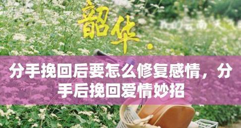 挽回爱情的信-为爱而战的勇气和决心（分手后如何挽回女朋友的心）  第3张