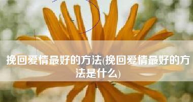 如何用最好的方法挽回夫妻感情（从沟通、理解到行动）  第1张