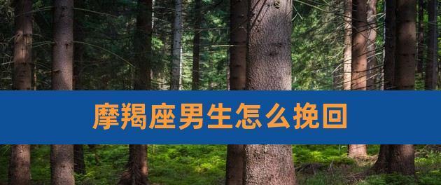 复合挽回摩羯座男生的方法？如何有效修复感情裂痕？  第3张