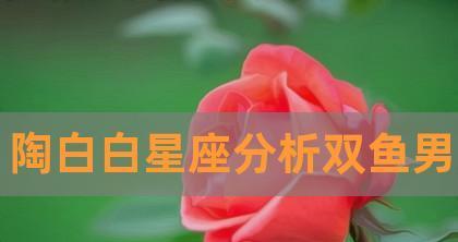 挽回双鱼座女孩陶白白的心有什么方法？如何理解双鱼座的情感需求？  第3张