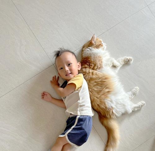 如何帮助猫妈妈挽回失去的小宝贝？有效的方法有哪些？  第2张