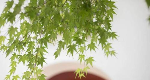 如何扭转违背底线而破坏家庭的局面？有效沟通和家庭治疗有哪些方法？  第1张