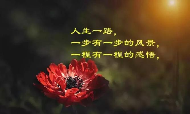 婚姻走向终点的征兆有哪些？如何识别暗示婚姻结束的句子？  第3张