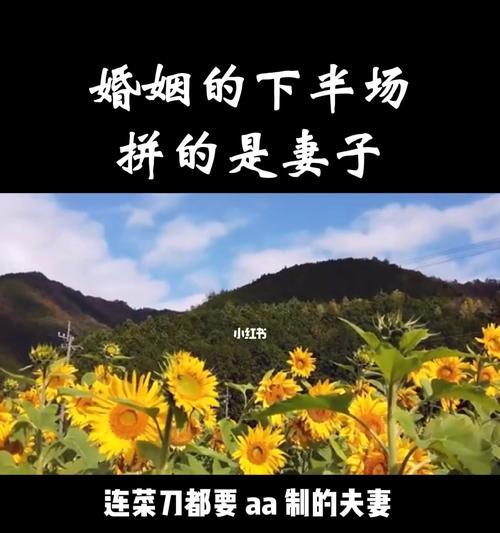 婚恋观有哪些方面？如何影响现代人的选择？  第3张
