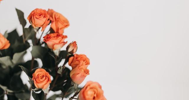 如何挽回双鱼座的婚姻？挽回双鱼座婚姻的正确方法是什么？  第1张