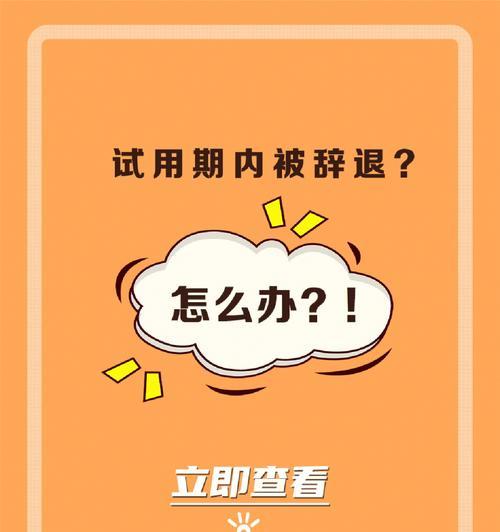 试用期被辞退后如何挽回？有效策略和步骤是什么？  第3张