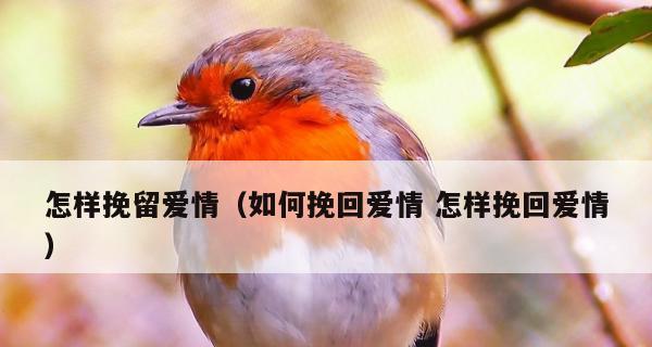 恋情出现了危机应该怎么办？如何有效沟通和解决问题？  第3张