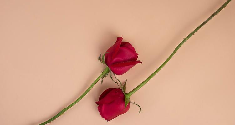 两个人不合适该怎么挽回？挽回感情的有效方法是什么？  第3张