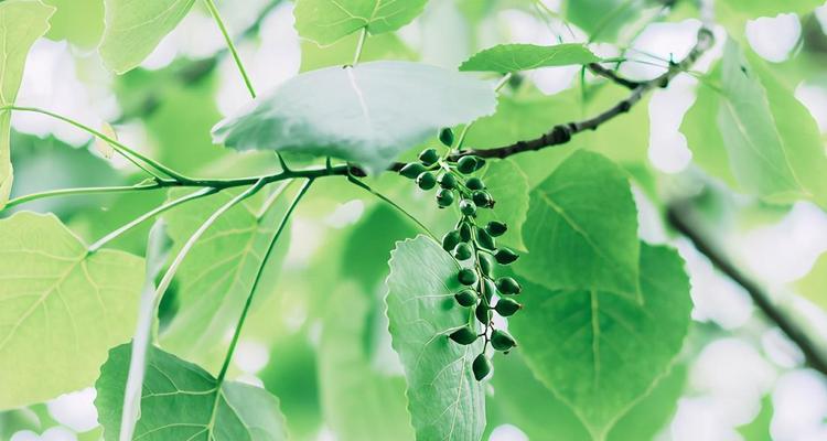 绿了对象怎么挽回？挽回爱情的有效方法有哪些？  第3张
