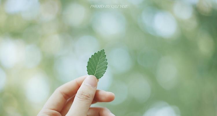 亲情和爱情如何兼顾？挽回两全的秘籍是什么？  第3张