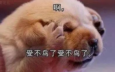 情侣吵架真的能增进感情吗？小吵怡情还是大吵伤情？  第1张