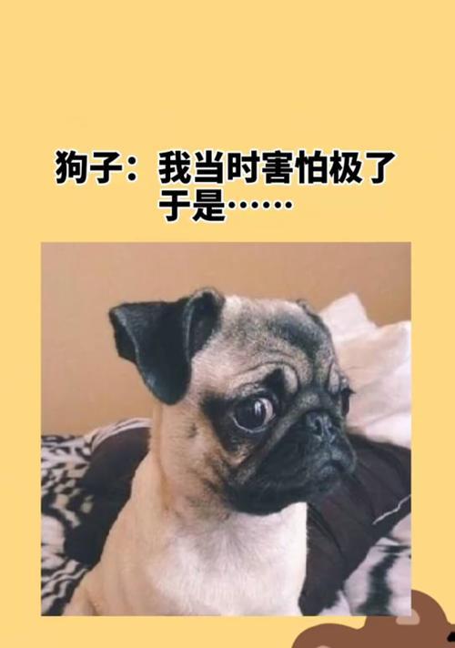 如何应对情人不联系的孤独感？  第1张