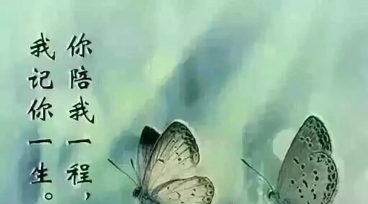 如何用让对方看到心疼的句子表达情感？  第3张