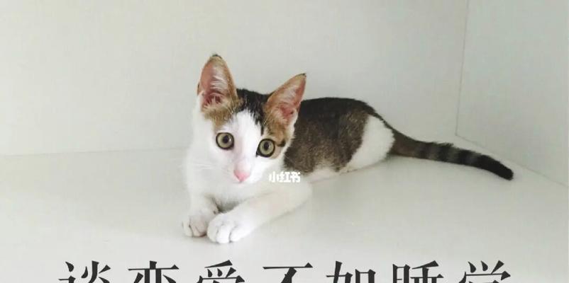 如果不考虑结婚就不要浪费彼此时间？如何判断恋爱关系的未来走向？  第3张