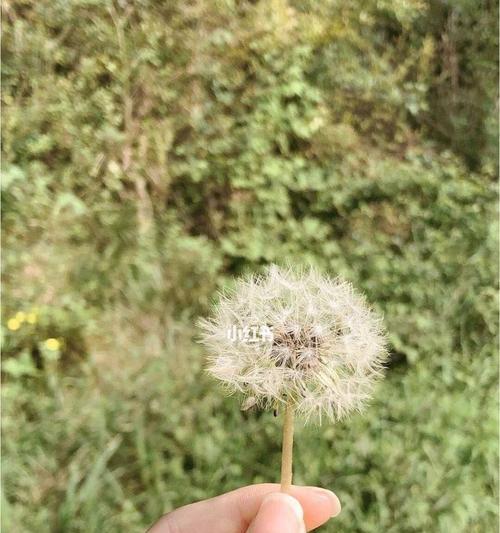 如何处理双方都放不下却逼自己分手的情况？挽回的正确方法是什么？  第1张