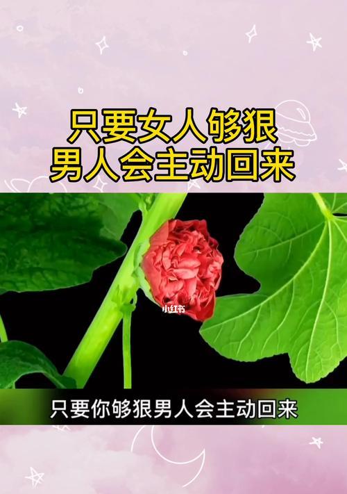 面对分手，如何处理他不爱我也不喜欢我嫌我年龄小的情况？  第2张