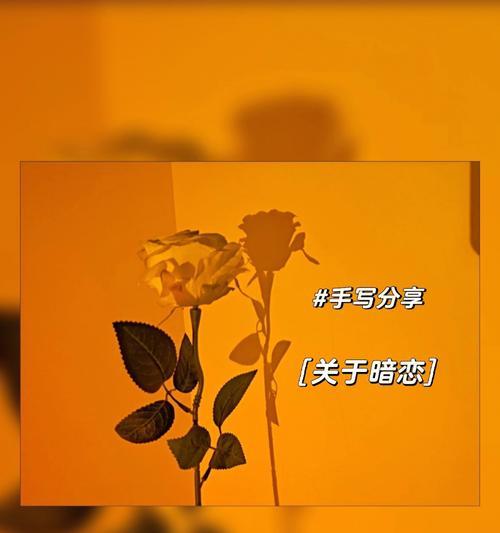 我暗恋已婚男人怎么办？如何处理这种复杂情感？  第2张