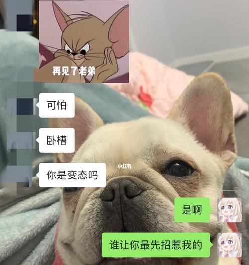 男朋友提出分手怎么办？如何挽回太作的行为导致的感情危机？  第3张