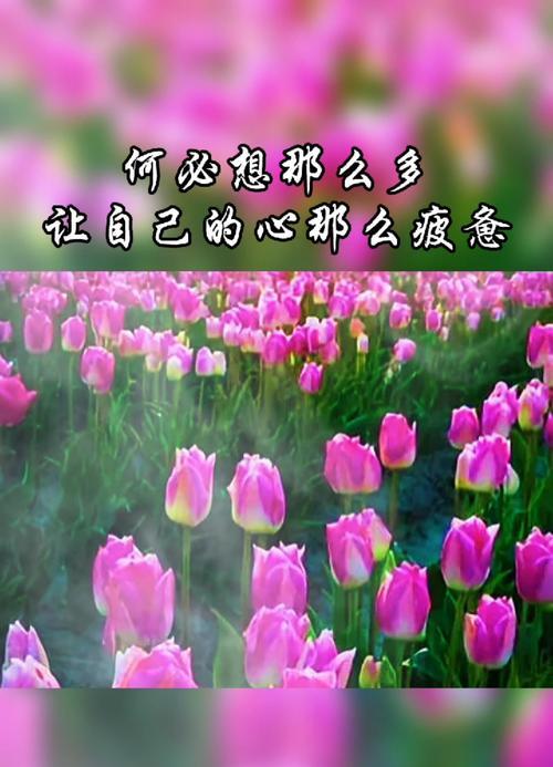 如何处理心痛的感觉？当喜欢的人爱上别人该怎么办？  第2张