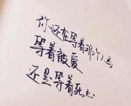 如何用一句话打动人心的爱情？常见问题有哪些？  第2张