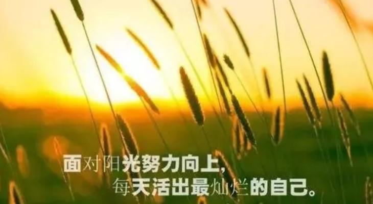 已婚女人婚外恋的真实心声是什么？为何她们说收获的只有痛苦？  第1张