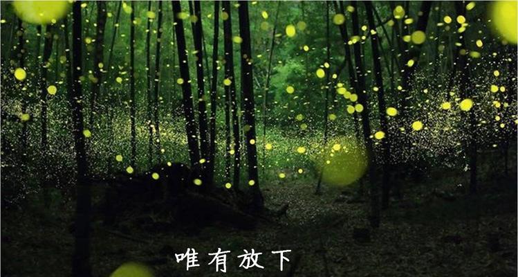 怎么才能放下对一个人的执念？有效方法有哪些？  第2张
