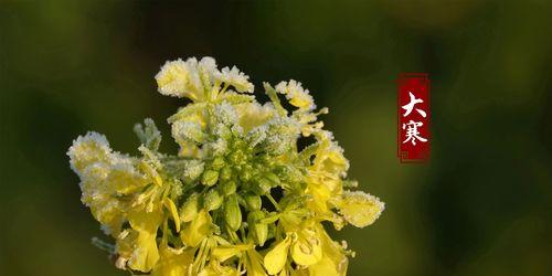 大寒节气如何送祝福？添衣祝福有哪些讲究？  第3张