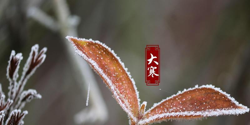 大寒节日祝福顺口溜怎么编？有哪些创意祝福语？  第3张