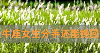 金牛男决定了的事怎么挽回？挽回金牛男的正确方法是什么？  第1张